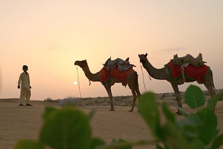 2-Day Camel Safari from Jaisalmer: Overnight Thar Desert Camp & Ghost Village Visit
