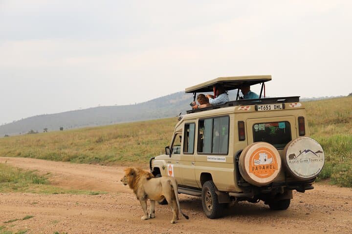 6-Day Northern Tanzania Safari: Tarangire, Serengeti & Ngorongoro Crater photo 6