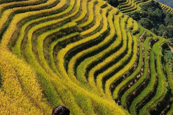 6-Day Guilin Tour — Yangshuo, Longji Rice Terraces & Reed Flute Cave photo 5