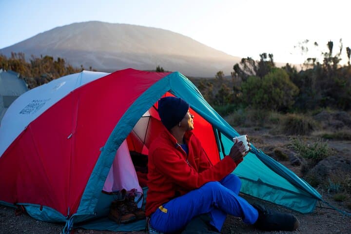 8-Day Kilimanjaro Lemosho Route Trek — Guided Summit to Uhuru Peak