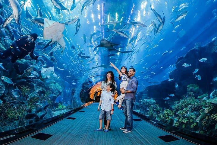 Burj Khalifa Views and Dubai Aquarium Combo: At The Top + Underwater Zoo photo 1