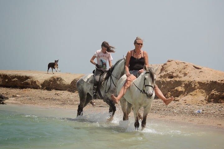 Sharm El-Sheikh 2-Hour Horseback Ride: Beach and Desert photo 4