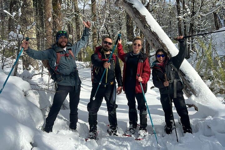 Snowshoe the Lagos Andinos: Half‑Day Andean Lakes Trek from Pucón photo 3