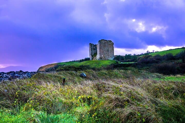 Full-Day Private Dingle Peninsula Cultural Tour — Conor Pass & Slea Head photo 3