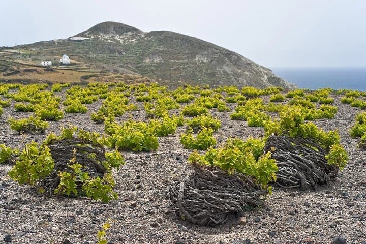 Private Santorini Half-Day Custom Tour — Oia, Red Beach & Akrotiri photo 5