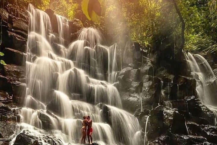 ubud-customized-full-day-tour-rice-terraces-monkey-forest-waterfalls