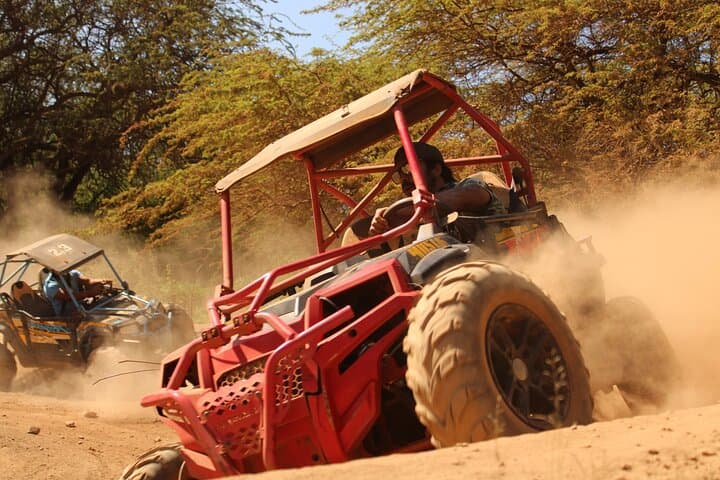 Oahu Coral Crater ATV Adventure: Waikiki Roundtrip Off-Road Experience photo 3