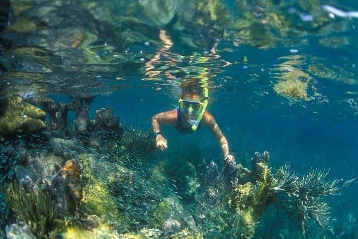 Cham Island Snorkeling Day Trip from Hoi An: Speedboat Beaches & Marine Life photo 1