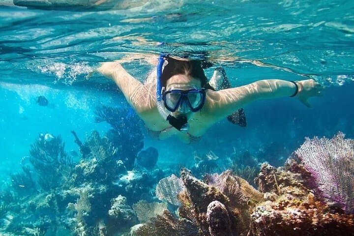 Cham Islands Snorkeling Day Trip from Hoi An — Cu Lao Cham Speedboat & Beach