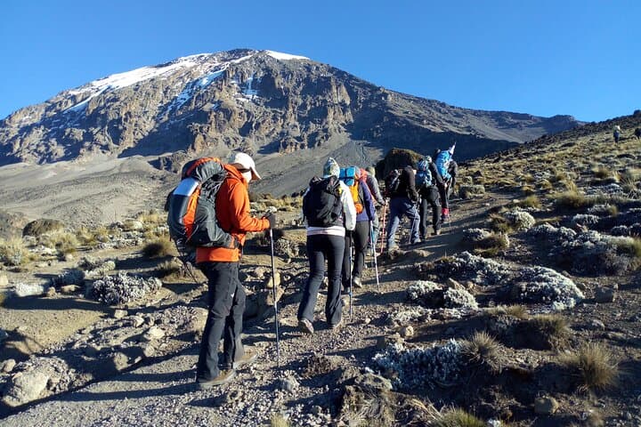 6-Day Private Machame Route Kilimanjaro Trek to Uhuru Peak photo 2