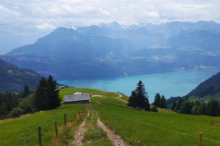 Full-Day Swiss Alps Hike & Lake Swim from Lucerne — Göscheneralpsee Adventure photo 3