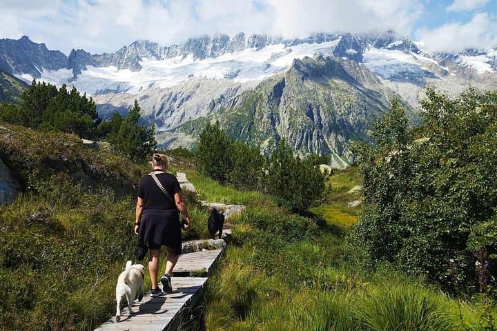 Full-Day Swiss Alps Hike & Lake Swim from Lucerne — Göscheneralpsee Adventure photo 5