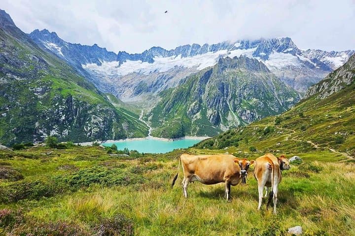 Full-Day Swiss Alps Hike & Lake Swim from Lucerne — Göscheneralpsee Adventure