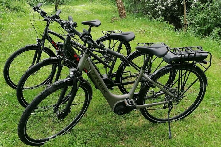 eBike Tour Killaloe & Lough Derg Shore: Guided Ride with Village Stops photo 4
