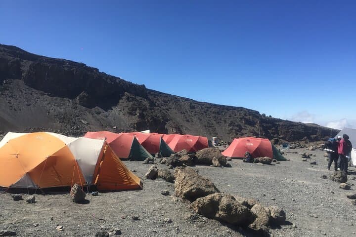 7-Day Lemosho Kilimanjaro Climb: Shira Plateau to Uhuru Peak photo 4