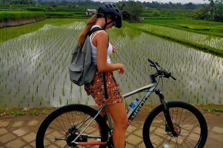 Downhill Cycling Through Bali's Ubud Countryside: Rice Fields, Villages & Local Homestays photo 4