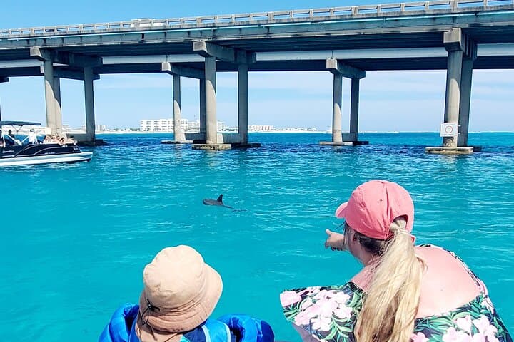 Private Pontoon to Crab Island — Destin Dolphin & Snorkel Charters photo 3