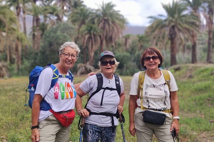 Gran Canaria Private Walks — Custom Hiking & Cultural Tours in Mogán photo 3
