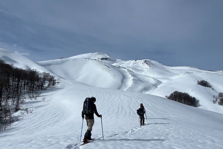 Ascent of Quetrupillán Volcano: Full-Day Guided Climb from Pucón photo 3