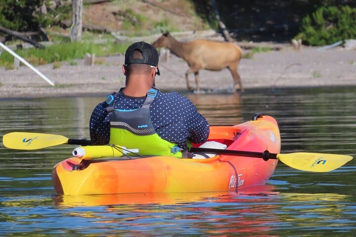 Morning Kayaking Adventure on Yellowstone Lake: Paddle to West Thumb Geyser Basin photo 5