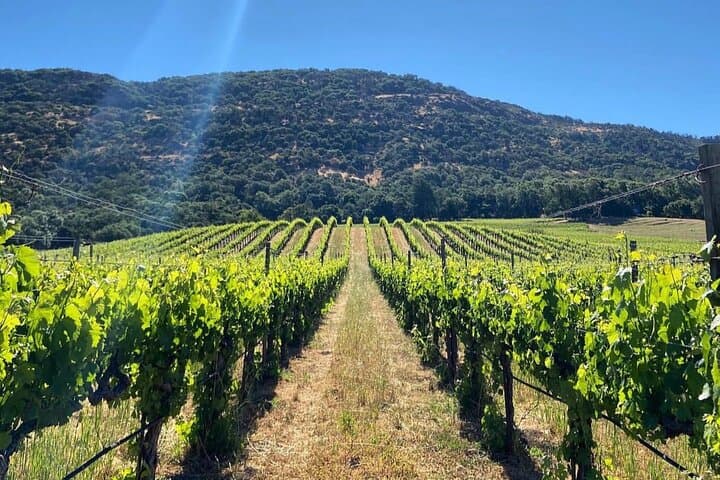 Discover Napa Valley's Hidden Wineries: Intimate Tour with a Local Sommelière photo 3