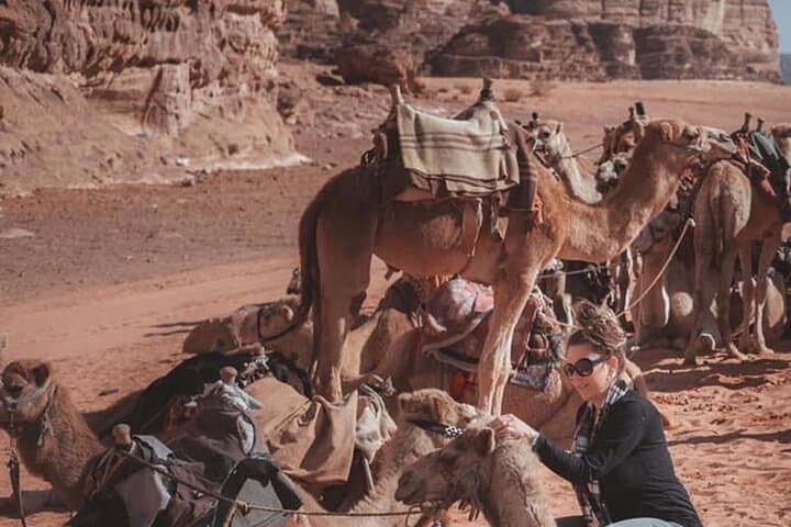 7-Day Private Jordan Adventure: Petra, Wadi Rum, Dead Sea & Aqaba with Locals photo 6