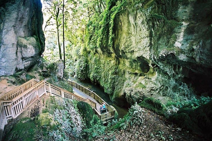 North Island Four-Day Highlights Tour: Hobbiton, Waitomo & Waitakere Ranges photo 6