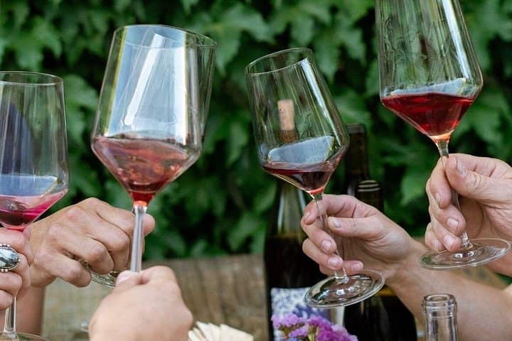 Small-Group Guided Wine Tasting in Sebastopol with a Local Sommelière photo 4