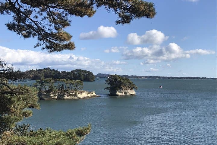 Private Matsushima Tour from Sendai — Bay Islands, Temples & Seafood photo 4
