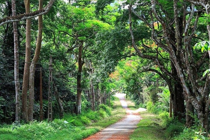 Discover Northern Phu Quoc: Full-Day Kayak, Beaches & Village Tour photo 2