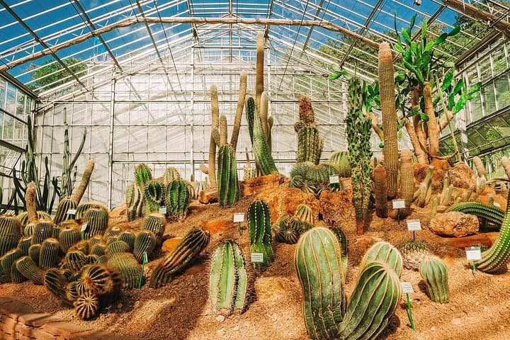 Mon Jam Highlands & Pong Yang Adventure: Chiang Mai Full-Day Private Tour photo 2