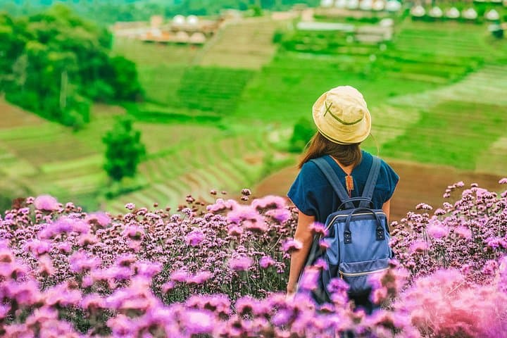 Mon Jam Highlands & Pong Yang Adventure: Chiang Mai Full-Day Private Tour photo 3
