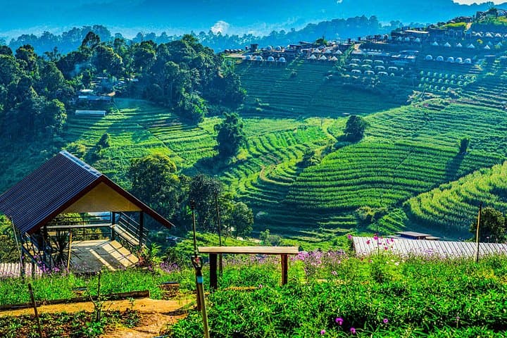Mon Jam Highlands & Pong Yang Adventure: Chiang Mai Full-Day Private Tour photo 4