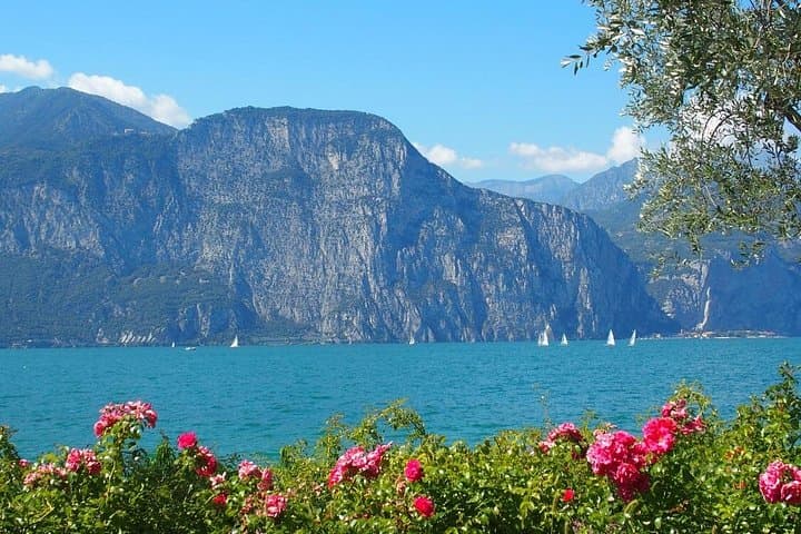 Private Tour of Lago di Garda and Sirmione from Verona: Castle Views, Roman Ruins, and Lugana Wine photo 3