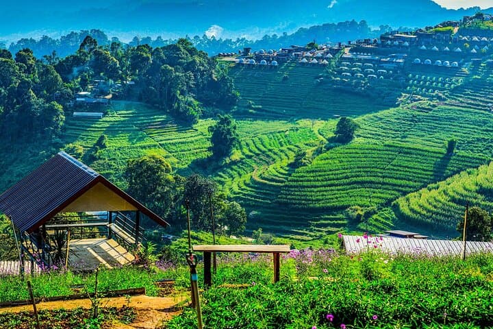 Customize-Your-Own-Chiang-Mai-Surrounding-Areas-Full-Day-Private-Tour photo 3