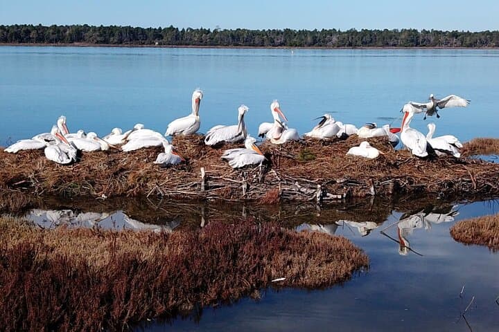 BodyFlow Experience in Karavasta Lagoon — Day Trip from Tirana & Durres photo 3