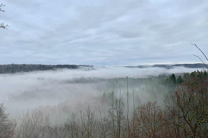 Gauja Day Trip: Hiking Gauja National Park, Turaida Castle & Soviet Bunker photo 3