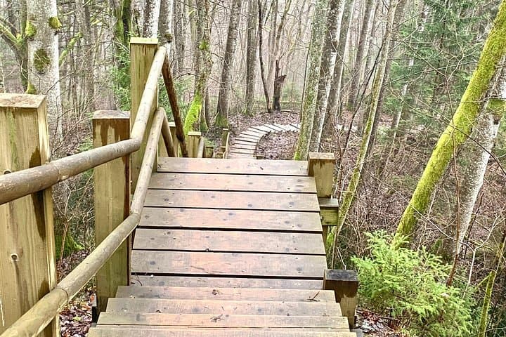 Gauja Day Trip: Hiking Gauja National Park, Turaida Castle & Soviet Bunker photo 6