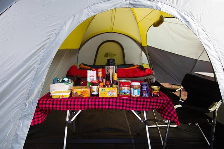 7-Day Kilimanjaro Machame Route Trek — Summit Uhuru Peak on the Roof of Africa photo 4