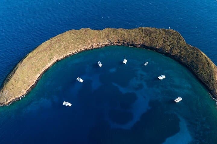 Molokini & Turtle Arches Two-Stop Snorkel Adventure from Maui photo 4