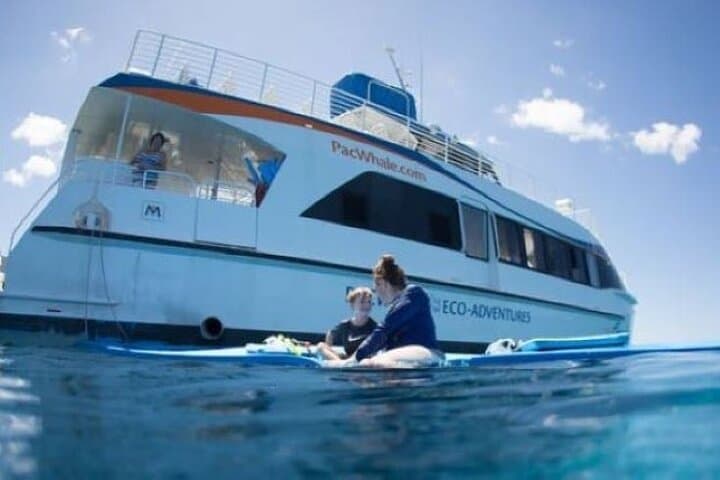 Molokini & Turtle Arches Two-Stop Snorkel Adventure from Maui photo 5