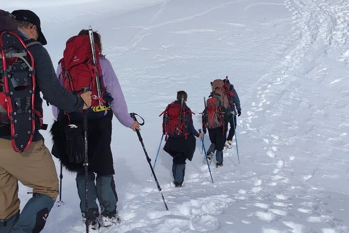 Sunrise Ascent: Sollipulli Volcano Guided Climb from Pucon photo 4