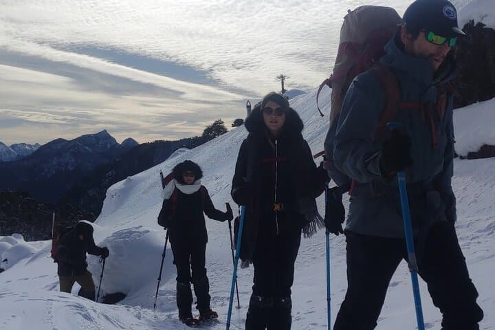 Sunrise Ascent: Sollipulli Volcano Guided Climb from Pucon photo 6