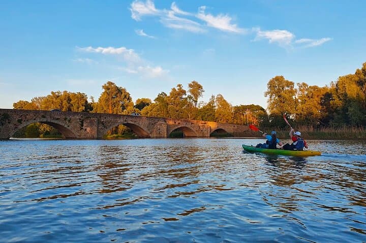 Kayak the Arno: 2-Hour Paddle at Ponte a Buriano Natural Reserve