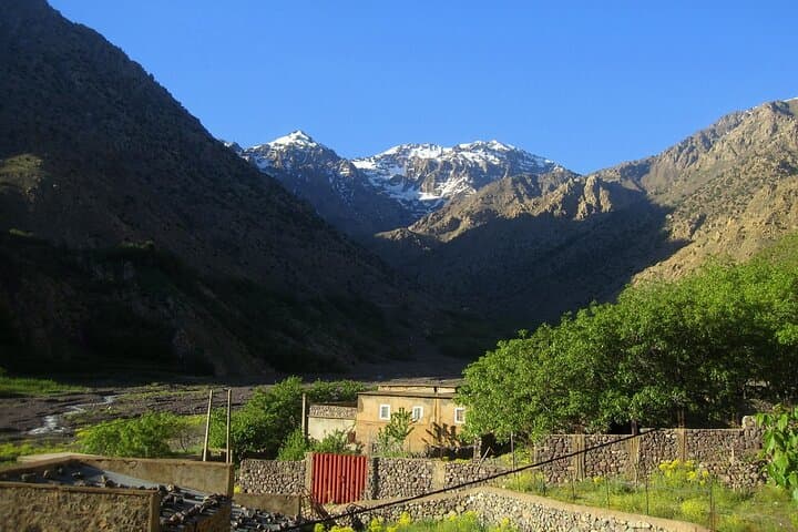 Agafay Desert and Atlas Mountains Camel Ride Day Trip from Marrakech photo 2