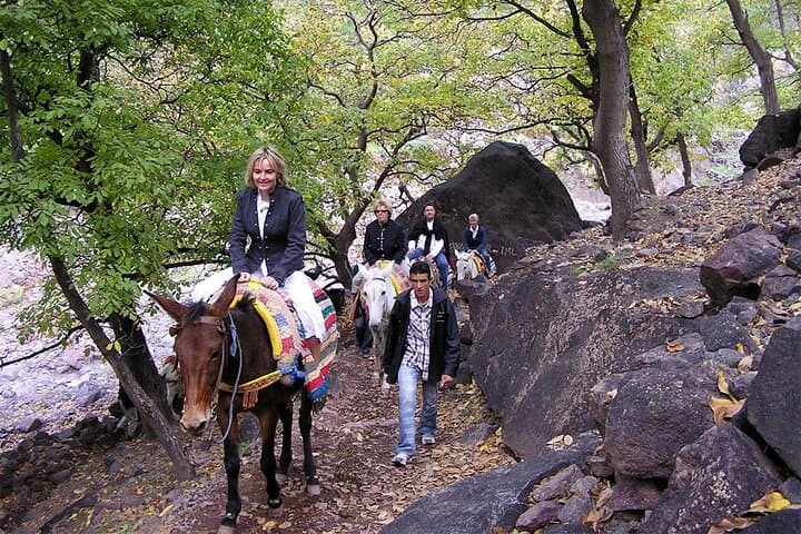 Agafay Desert and Atlas Mountains Camel Ride Day Trip from Marrakech photo 6