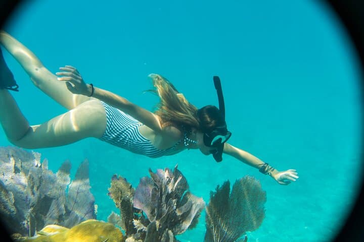 Key West Dolphin Watching and Guided Snorkeling on a Quiet Electric Catamaran photo 6