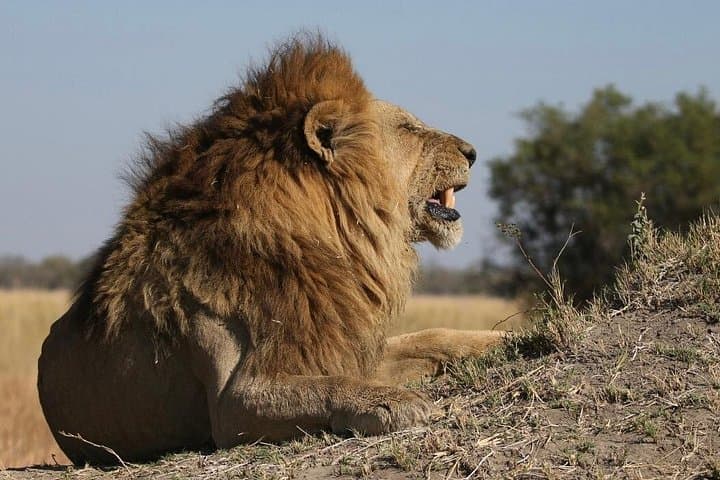 8-Day Victoria Falls, Chobe & Okavango Delta Safari — Waterways, Big Game & Delta Mokoro photo 2
