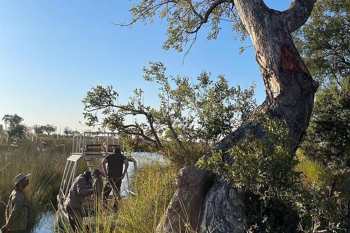 8-Day Victoria Falls, Chobe & Okavango Delta Safari — Waterways, Big Game & Delta Mokoro photo 4