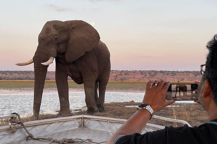 8-Day Victoria Falls, Chobe & Okavango Delta Safari — Waterways, Big Game & Delta Mokoro photo 6